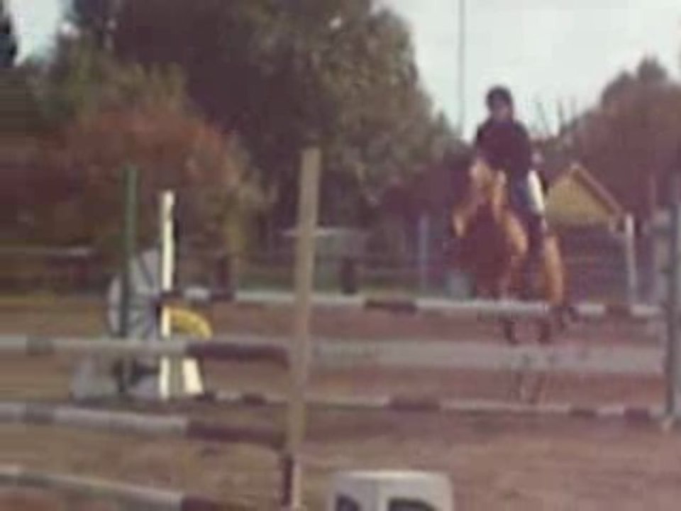 Julie & Elesys Club2Grandprix Boisemont (Barrage)