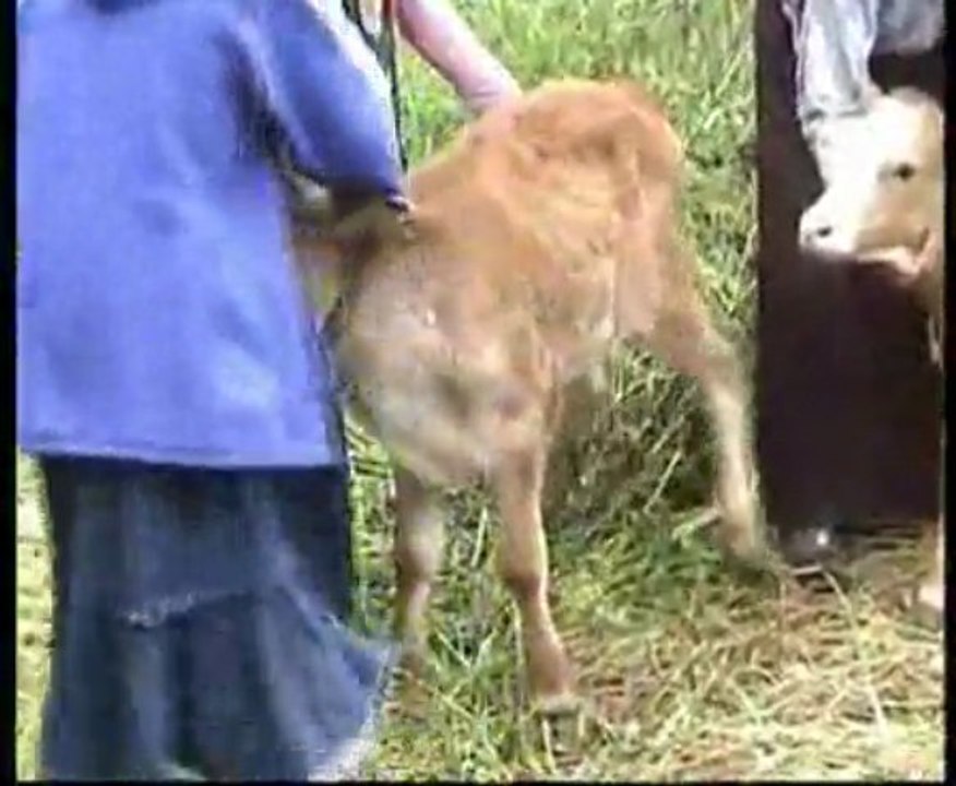 GİDELİM BİZİM YAYLAYA (ADEM ÇELİK)