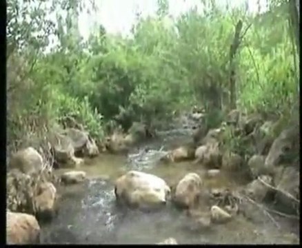 BABAKONAĞI KÖYÜ (ADEM ÇELİK) ben gurbeti sevemedim