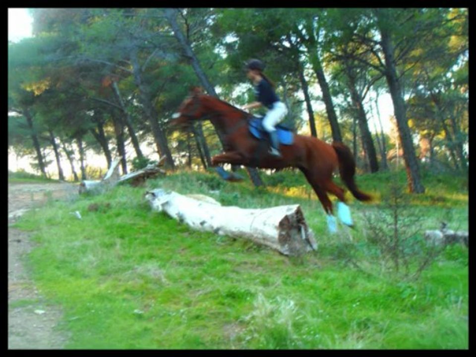 Morgane & Sheitan