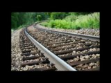 Getting Your Organization on the Growth Track