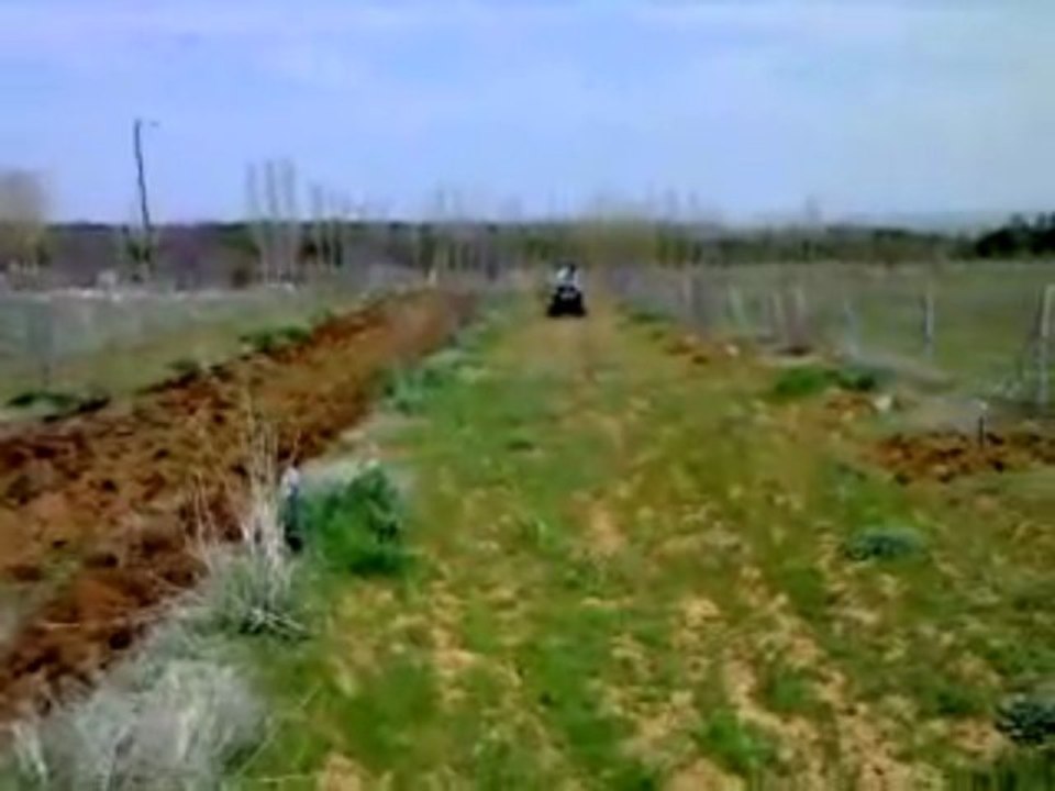 Karınca 30