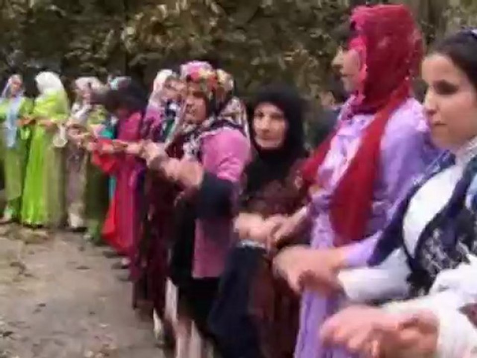 8 KASIM 2009 ŞEMDİNLİ DÜĞÜNLERİ