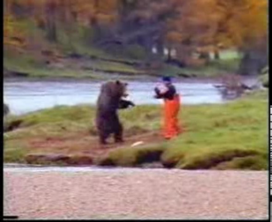 Oso divertido