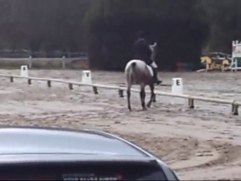 Concours de dressage a la ferté sous jouarre le 25/10/2009