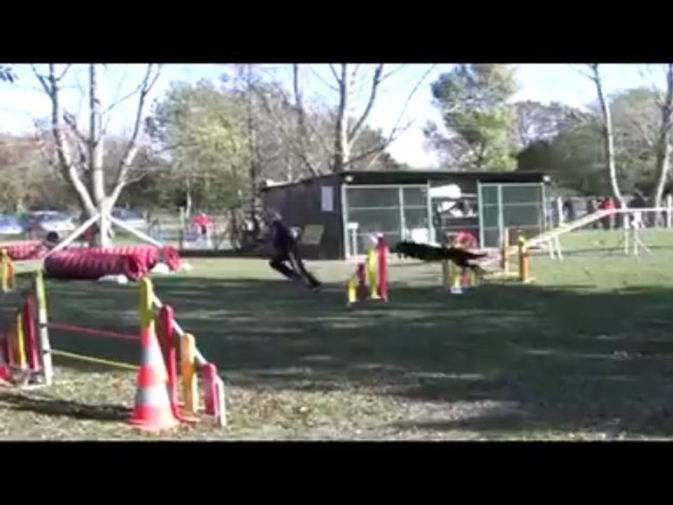 Roxane GPF Agility Rochemaure 08/11/2009