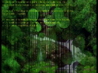 Video 88 - The Secret de Rhonda Byrne