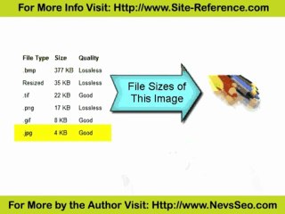 Images & SEO: Why Text Matters More 📝