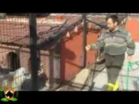 Fatih Belediyesi Yedikule Hayvan Barinagi