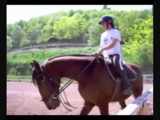 Extrais de mon galop 6 (2007)