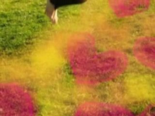 zante dilemma-αυτο που λενε αγαπη