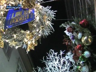 Le Sapin Géant de Noël prend racine à Strasbourg !