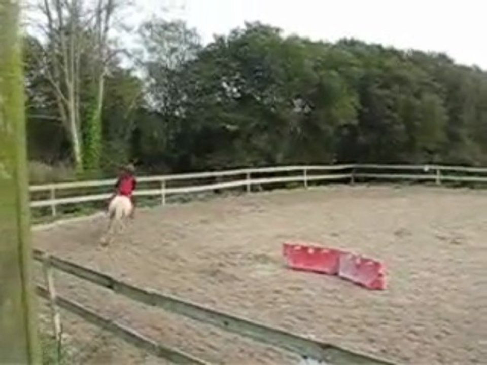 Chute avec natal