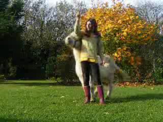 Espion en longe rennes ...