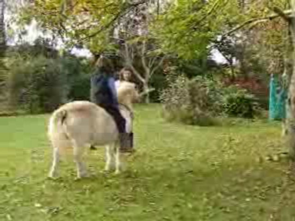 Cabriole d'Espion !