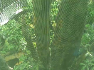 CALIFORNIA ACADEMY OF SCIENCES