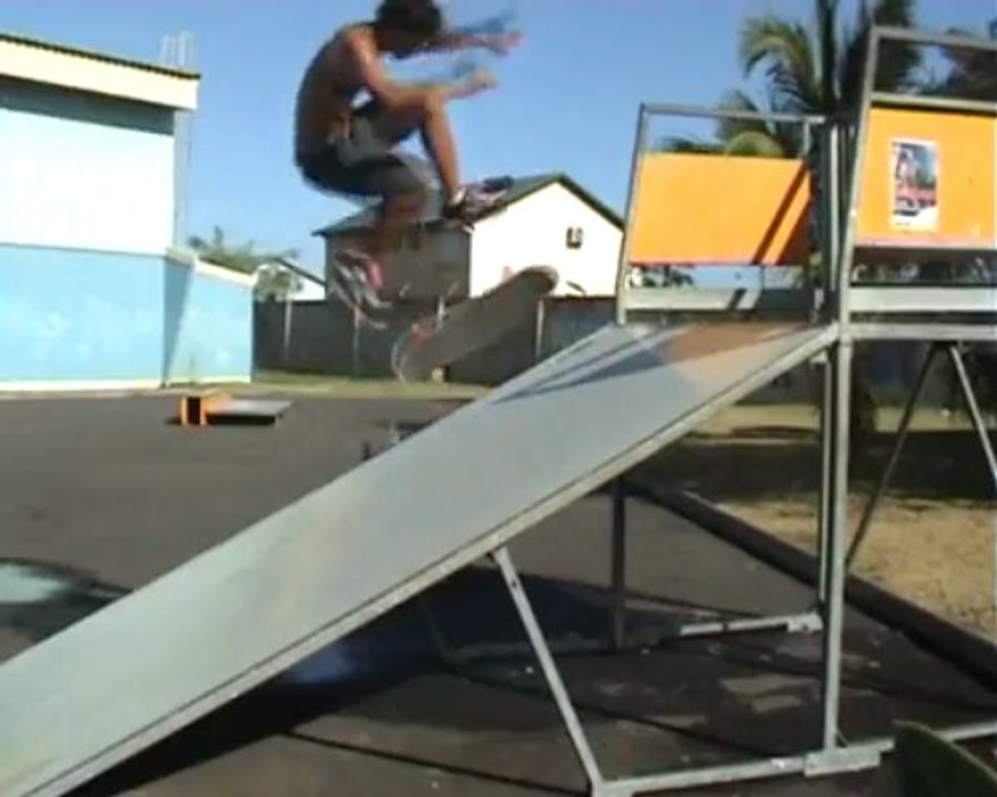 Skate Reunion Varial team