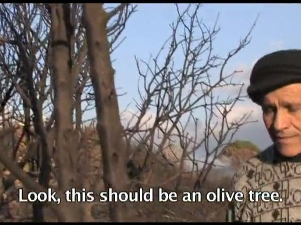 Climate Change - Lebanon Forest Fire