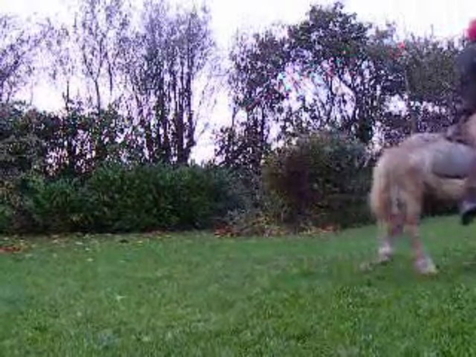 Jingel a genou & Espion Cordelette