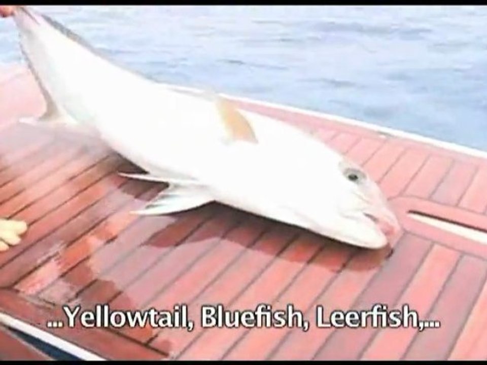 Climate Change - Italy Horror Fish