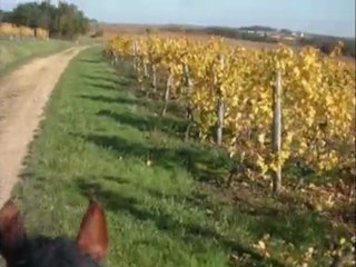 1ère balade montée 5nov09