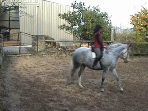 Maltosa montée au trot 30.10.09 pour YT