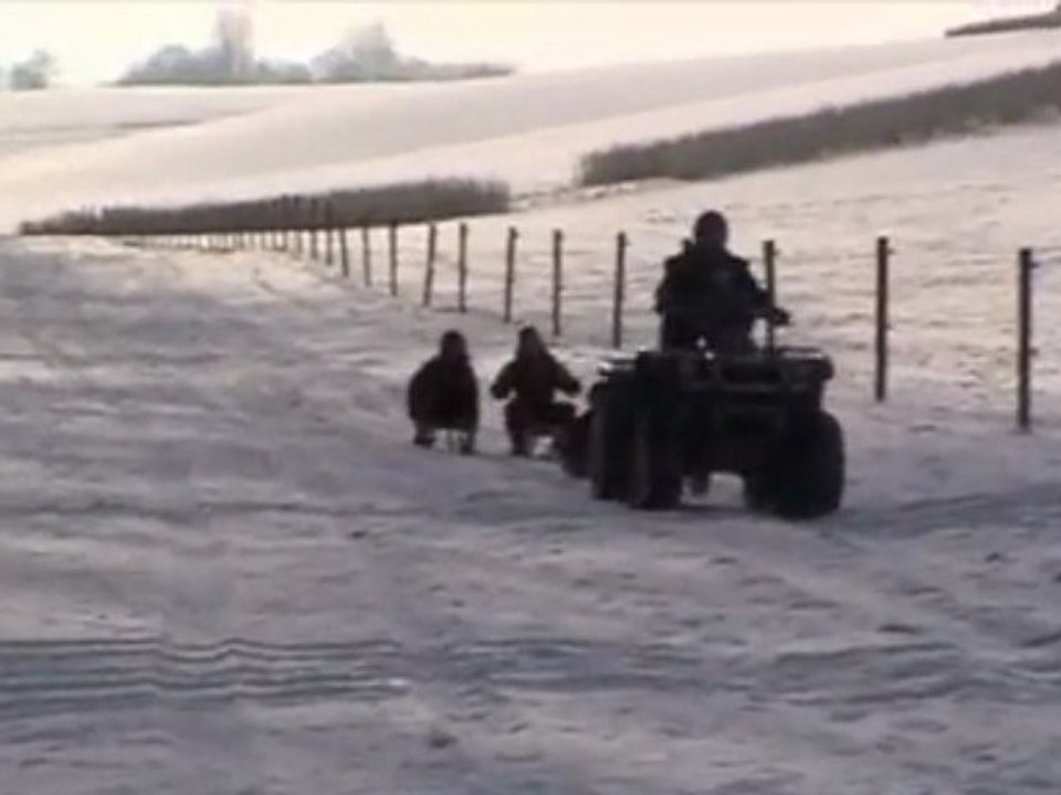 pur-sang-arabe , haras de croissart chevaux,  neige 11-11-09