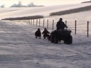 pur-sang-arabe , haras de croissart chevaux,  neige 11-11-09