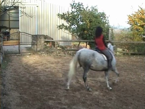 Maltosa montée trot fin 30.10.09 pour YT