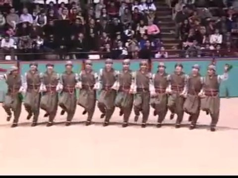 diyarbakır halk oyunları ekibi