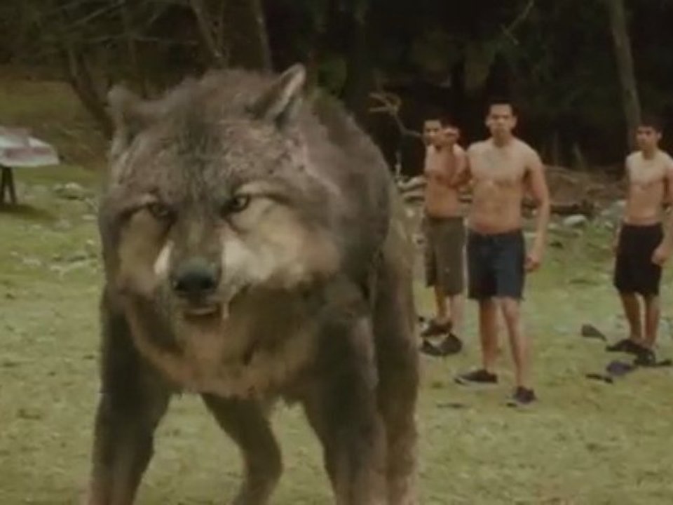 NEW MOON TV Spot - Battle