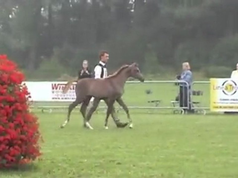 SHOW 2009 POULICHES