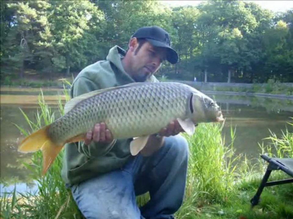 saison 2009
