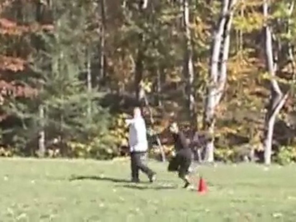 ARF Decoy Training Warmup