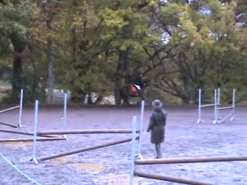 octavie obstacle galop 5