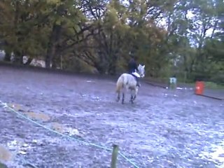 anouk dressage galop 5