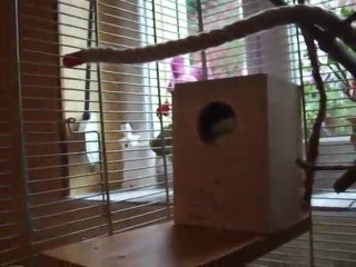 DEMENAGEMENT DE YUMYUM AVANT HIBERNATION