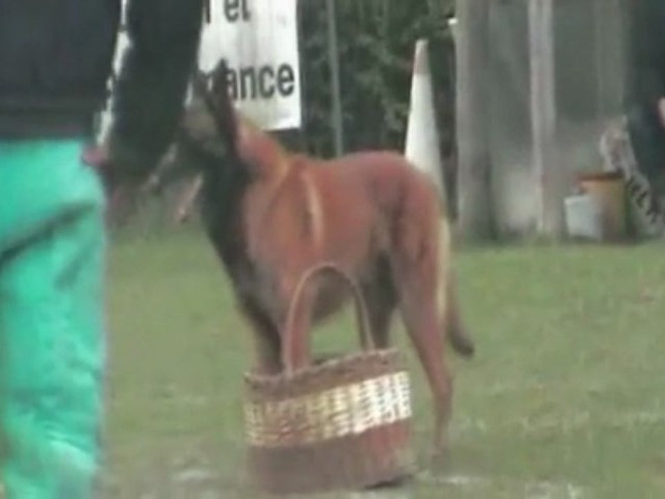 Vulcain 1st Selectif Group 3 Basket