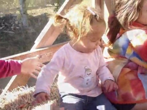 Le Film des Cousines The Cousins movie