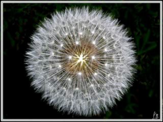 Ibrahim al jibreen  109 AL KAFIROUNE LES INFIDELES