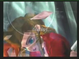 Flowers Blooming in a Church- ffvii