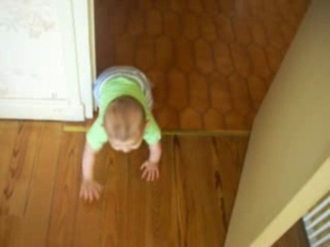 Mes débuts à 4 pattes