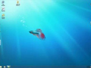 How To Create  Call of Duty 4 server