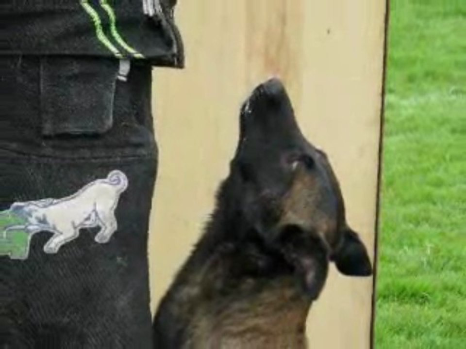 entrainement alien l'isle/doubs