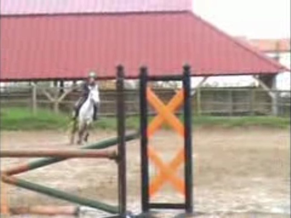 Ecuries du clos, Challenge du 8 novembre MONTAGE DE LINOU !