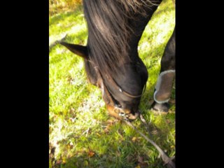 week end avec ma femme