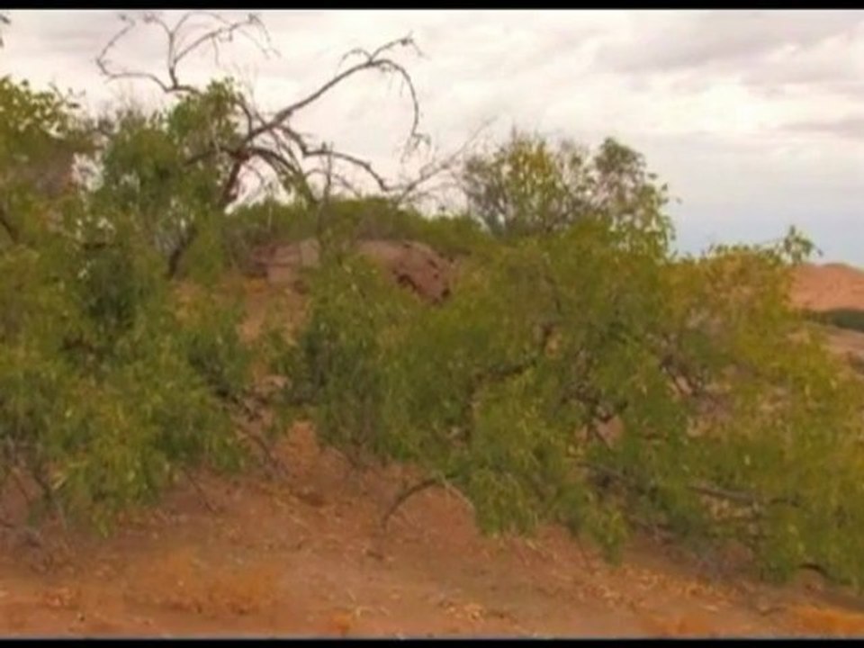 Climate Change - Namibia Diversity
