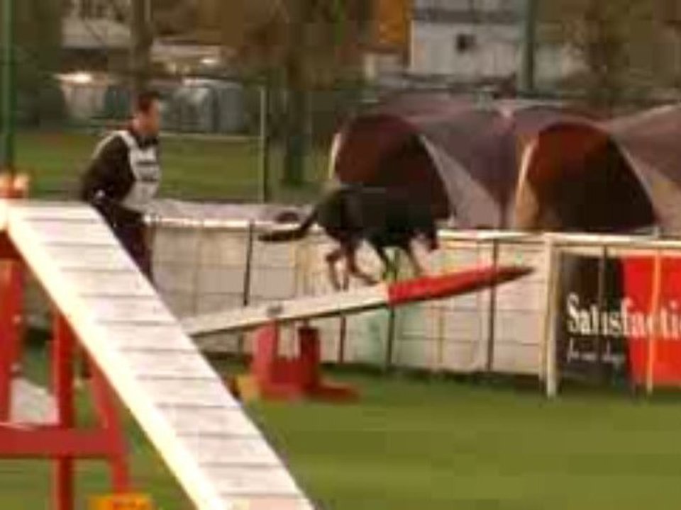 Agility Thalys 03