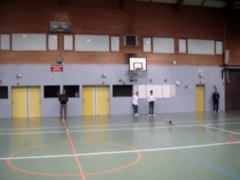 BGRC: Démo Hélicoptère RC électrique KDS 450