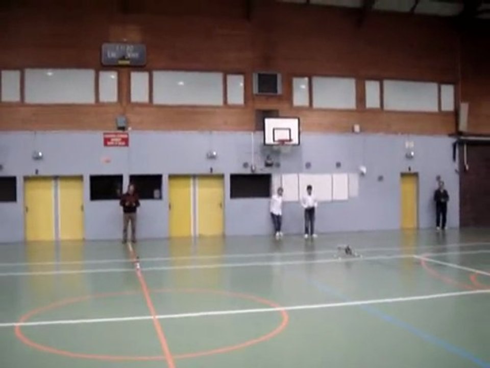 BGRC: Démo Hélicoptère RC électrique  KDS 450